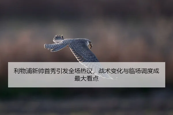 li-wu-pu-xin-shuai-shou-xiu-yin-fa-quan-chang-re-yi-zhan-shu-bian-hua-yu-lin-chang-diao-du-cheng-zui-da-kan-dian-2-168.jpg