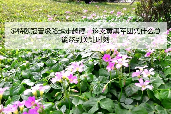 duo-te-ou-guan-jin-ji-lu-yue-zou-yue-ying-zhe-zhi-huang-hei-jun-tuan-ping-shen-me-zong-neng-ao-dao-guan-jian-shi-ke-2-765.jpg